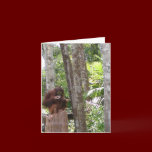 Krista Orangutan wildlife note cards