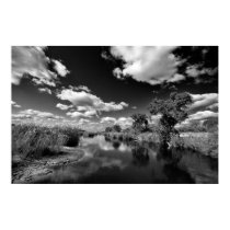 Kruger Quiescence posters