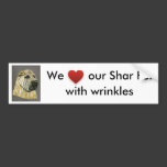 Kruger - Shar Pei Dog Art Bumper Stickers