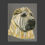 Kruger - Shar Pei Dog Art Post Card