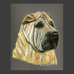 Kruger - Shar Pei Dog Art Poster