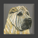 Kruger - Shar Pei Dog Art Refrigerator Magnet