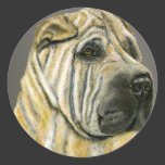 Kruger - Shar Pei Dog Art Stickers