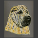 Kruger - Shar Pei Dog Art Shirts