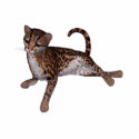 KRW Baby Leopard Magnet photo sculptures