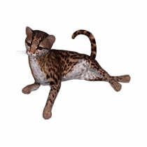 KRW Baby Leopard Magnet photo sculptures by KRWDesigns KRW Baby Leopard Magnet photo sculptures