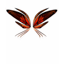 KRW Believe in Faeries Wings Orange t-shirts