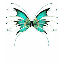 KRW Believe in Faeries Wings Teal t-shirts