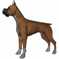 KRW Boxer photo sculptures by KRWDesigns KRW Boxer photo sculptures