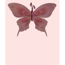 KRW Burgundy Butterfly t-shirts