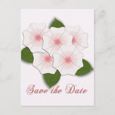 KRW Cherry Blossom Save the Date Pink BG Post Cards by KRWWedding