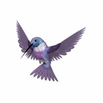 KRW Colorful Hummingbird Pin photo sculptures