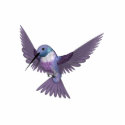 KRW Colorful Hummingbird Pin photo sculptures by KRWDesigns KRW Colorful Hummingbird Pin photo sculptures