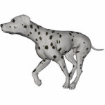 KRW Dalmatian photo sculptures