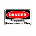 KRW Danger Pregnancy Hormones Funny t-shirts