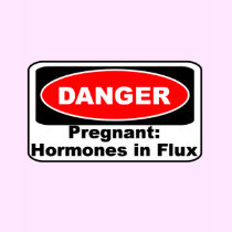 KRW Danger Pregnancy Hormones Funny t-shirts