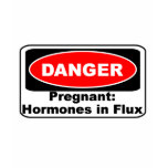 KRW Danger Pregnancy Hormones Funny Tshirt