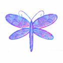 KRW Dragonfly photo sculptures