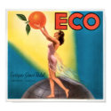KRW Eco Oranges Vintage Fruit Crate Label posters by KRWOldWorld KRW Eco Oranges Vintage Fruit Crate Label posters