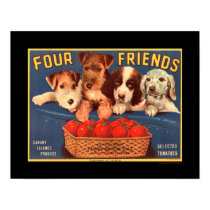 KRW Four Friends Vintage Tomato Crate Label posters