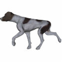 KRW German Shorthaired Pointer photo sculptures