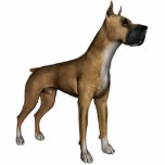 KRW Great Dane Photo Sculpture