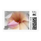 postcard - KRW Magnolia Wedding Postage Stamps