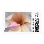 KRW Magnolia Wedding stamp