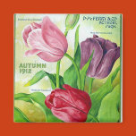 krw, perry, bulbs, seeds, 1912, seed, seed