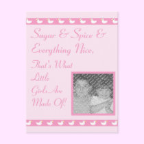 KRW Sugar & Spice Custom Photo Birth Announcement postcards
