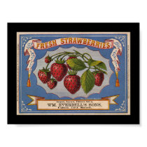 KRW Vintage Strawberry Fruit Crate Label posters by KRWOldWorld KRW Vintage Strawberry Fruit Crate Label posters