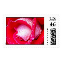 KRW Wedding postage