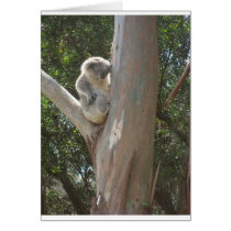 Kuala Greeting Cards
