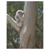 Kuala flyers by Australien Kuala flyers