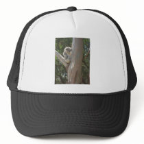 Kuala Hats