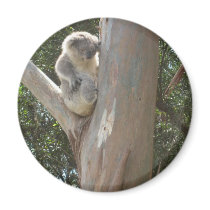 Kuala Refrigerator Magnet