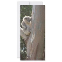 Kuala Rack Card Template