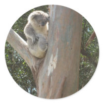 Kuala Sticker