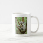 Kuddly Koala Coffee Mugs