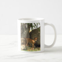 Kudo of Jamul mugs
