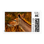 Kudu Profile - Postage Stamp