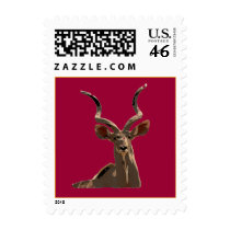 Kudu Stamp