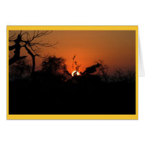 Kudu Sunset cards