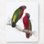 Kuhl’s Parrakeet by Edward Lear Mousemat