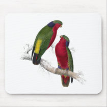 Kuhl’s Parrakeet by Edward Lear Mouse Mats