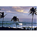 Kuilima Point - Oahu Photo Sculptures