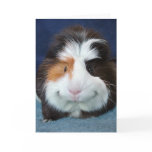 Kuku Greeting Cards