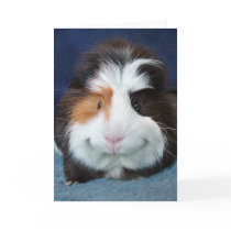 Kuku Greeting Cards