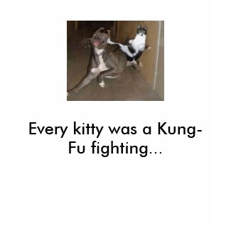 Kung Fu cat shirt