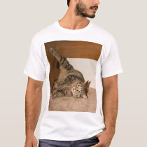 Kung fu kitty t-shirts
